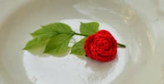 Rose Crochet Brooch Pin-RED