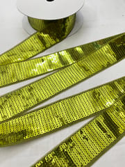 Sequin Lace