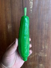 Wooden Ridgegourd
