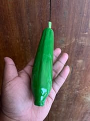 Wooden Ridgegourd