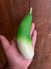 Wooden Cucumber