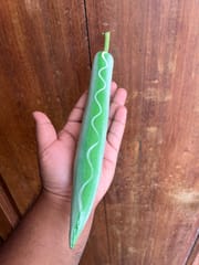 Wooden Mirchi