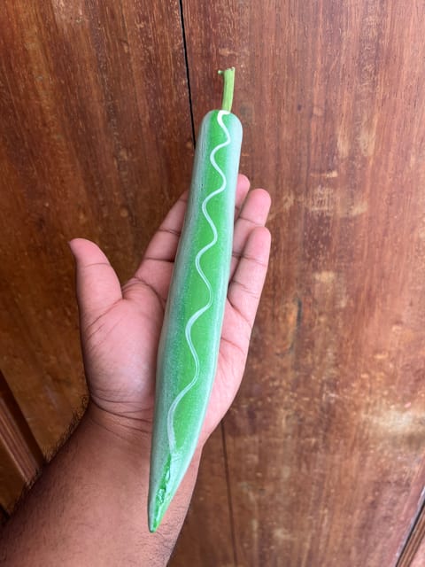 Wooden Mirchi