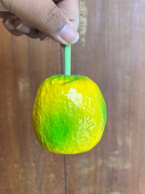 Wooden Lemon