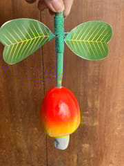 Wooden Cashew Fruit