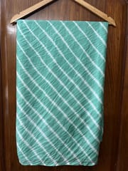 MINT Lehariya Saree