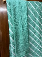 MINT Lehariya Saree