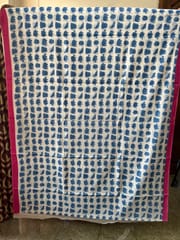 Mulmul Cotton Block Print Saree
